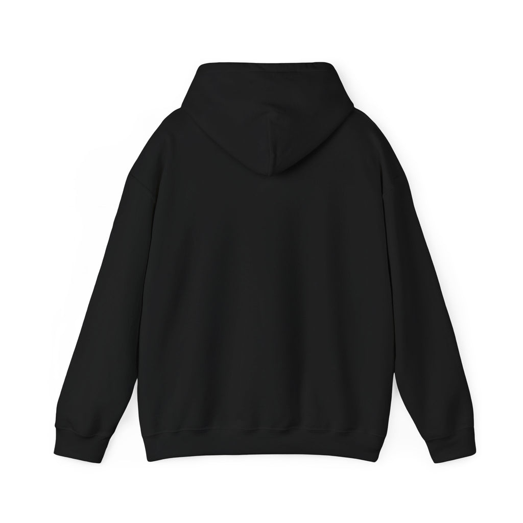 Christian Graphic Hoodie - FIND JESUS - Unisex