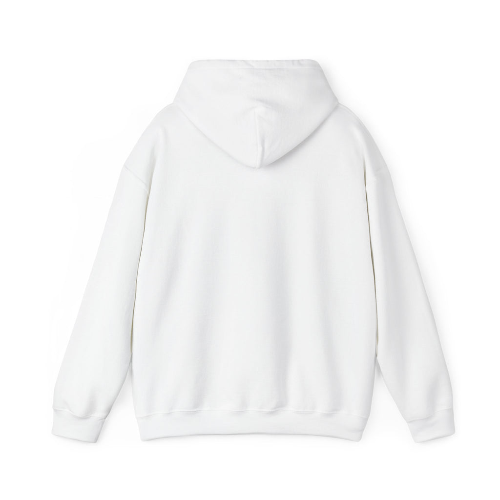 Christian Graphic Hoodie - FIND JESUS - Unisex