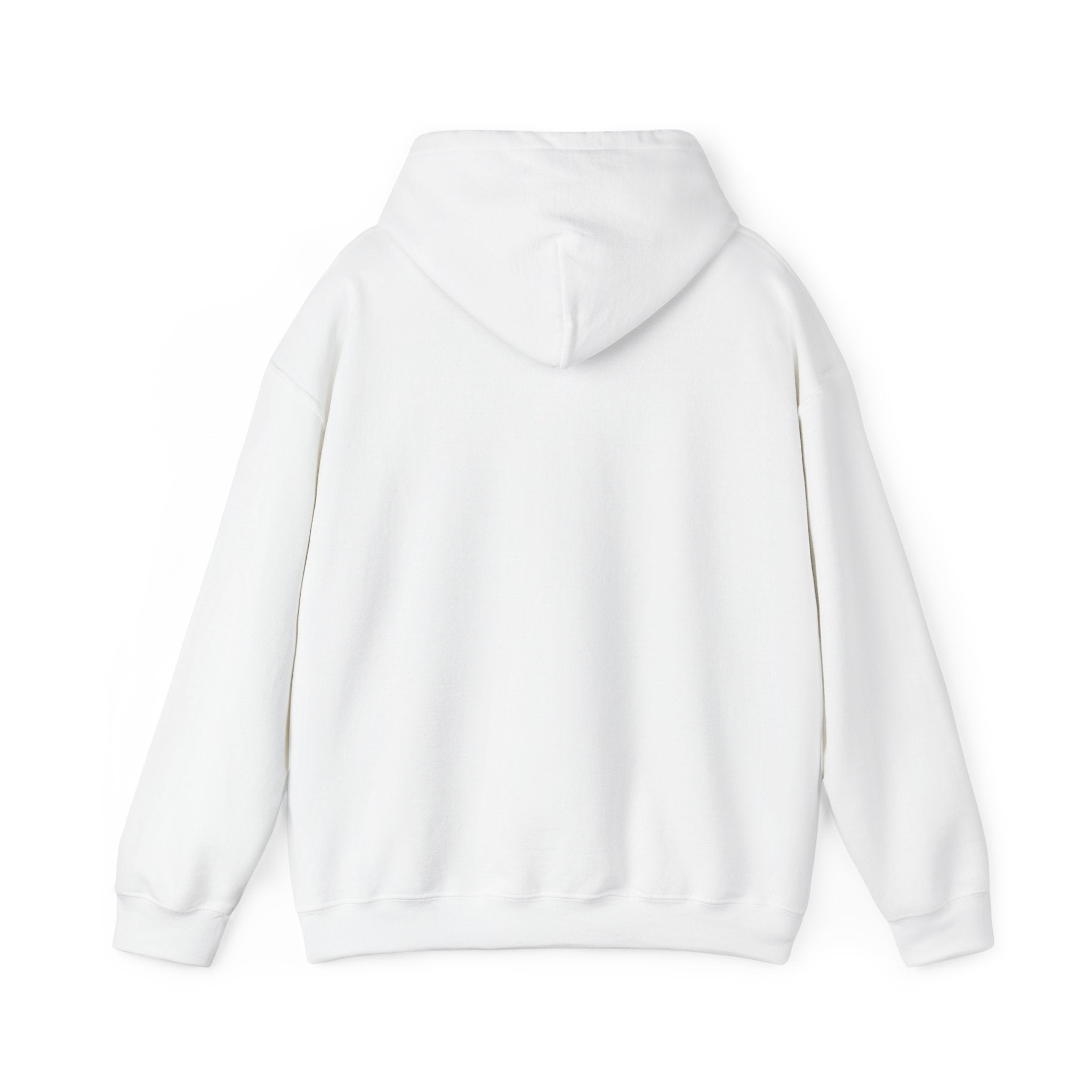 Christian Graphic Hoodie - FIND JESUS - Unisex