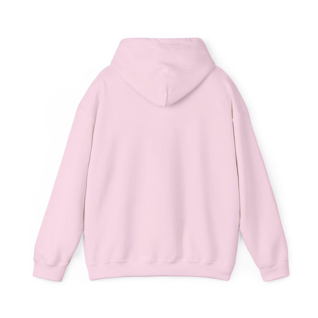 Christian Graphic Hoodie - FIND JESUS - Unisex