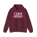 Christian Graphic Hoodie - FIND JESUS - Unisex