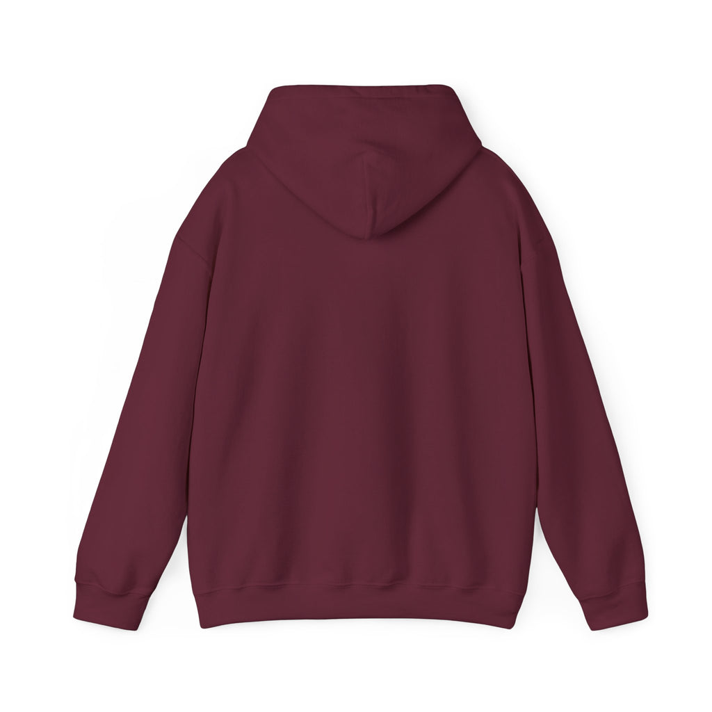 Christian Graphic Hoodie - FIND JESUS - Unisex