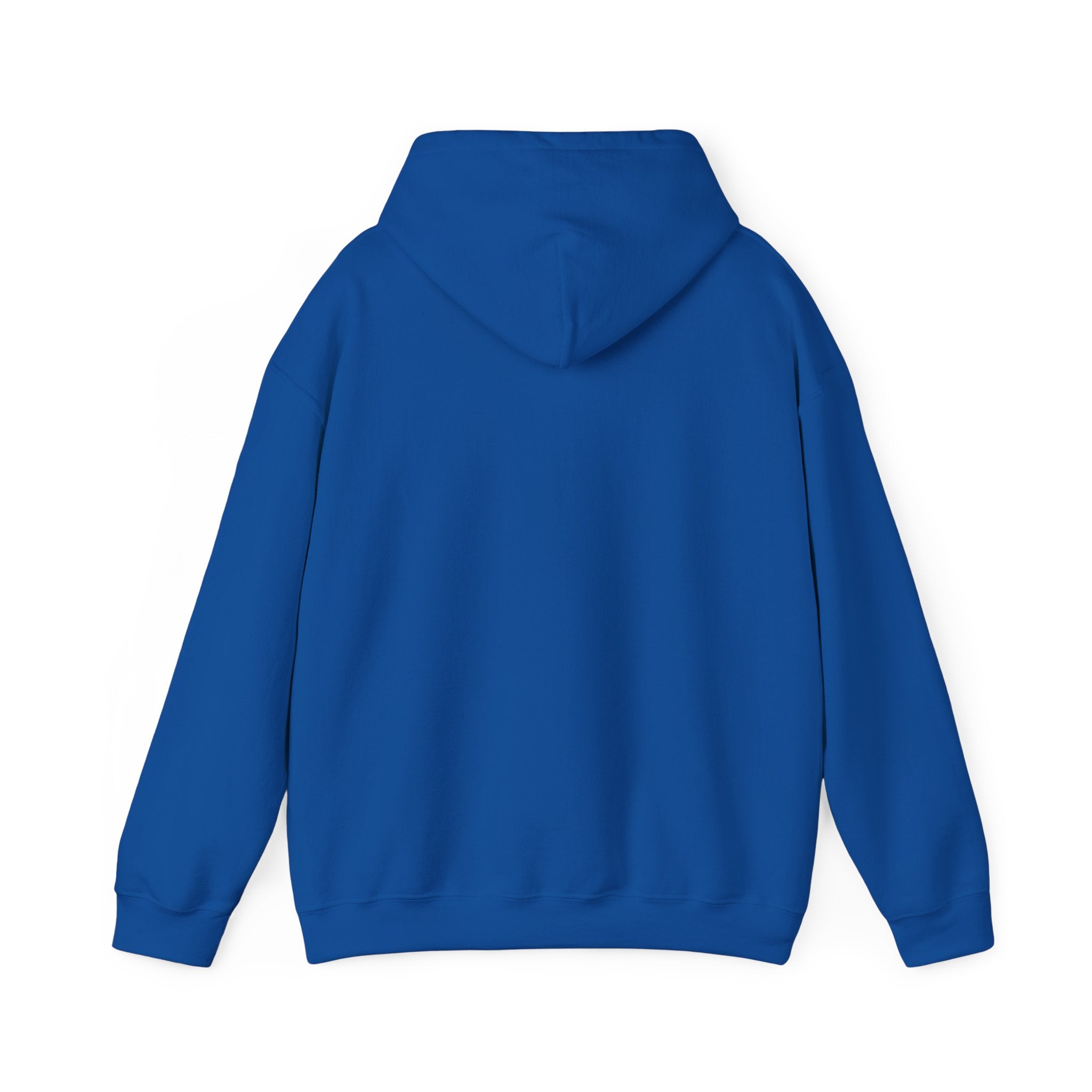 Christian Graphic Hoodie - FIND JESUS - Unisex