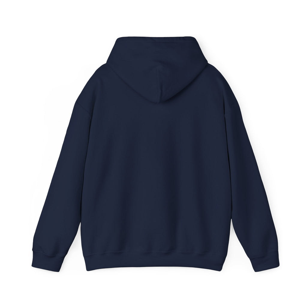 Christian Graphic Hoodie - FIND JESUS - Unisex