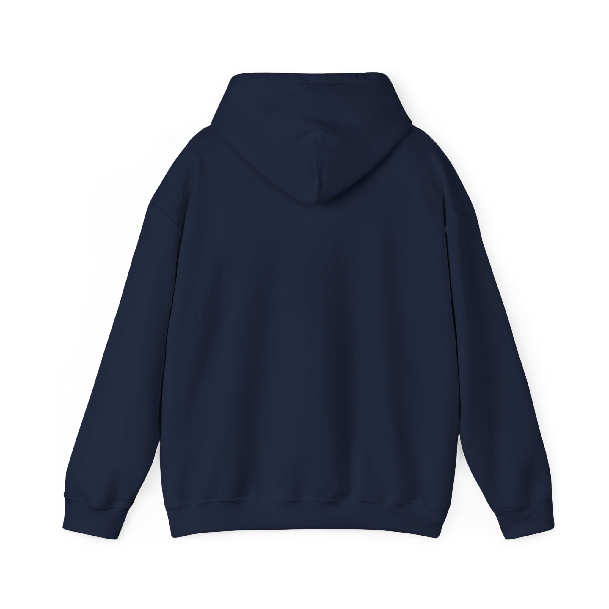 Christian Graphic Hoodie - FIND JESUS - Unisex